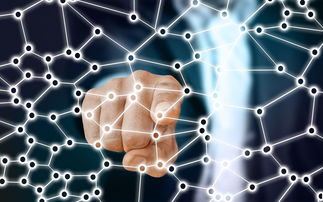 爱游戏娱乐网址-中国篮球职业联赛市场竞争策略分析，我国篮球职业联赛